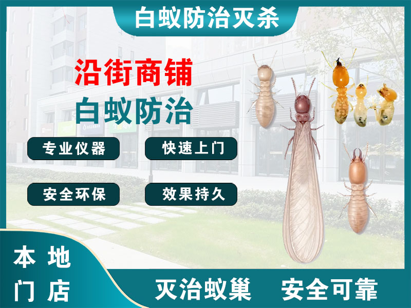 瓯海区沿街商铺白蚁防治