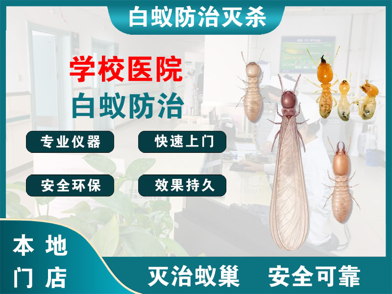 瓯海区学校医院白蚁防治