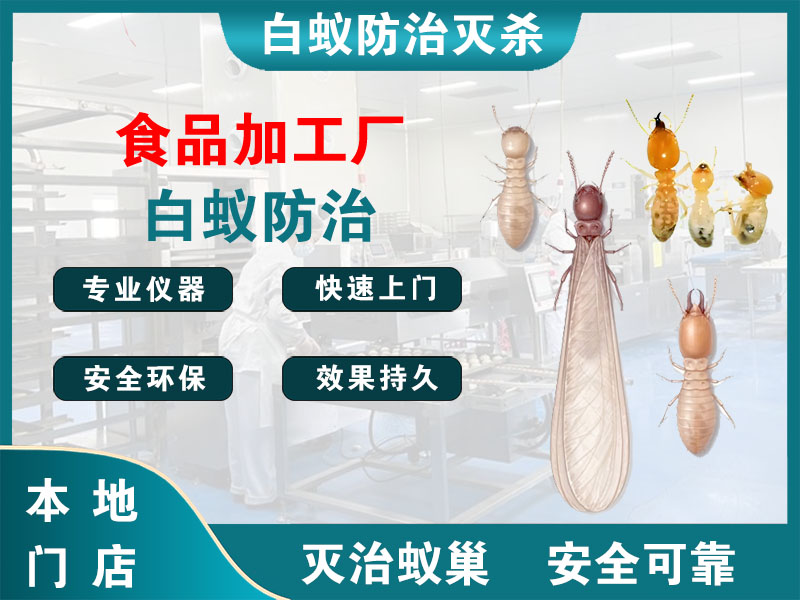 瓯海区食品加工厂白蚁防治