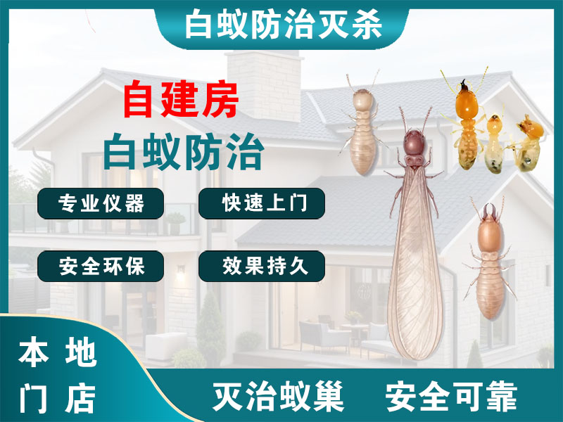 瓯海区自建房白蚁防治