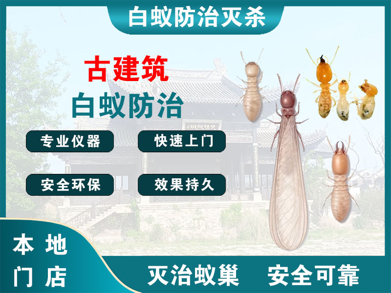 瓯海区古建筑白蚁防治