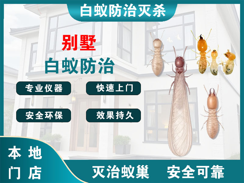 瓯海区别墅白蚁防治